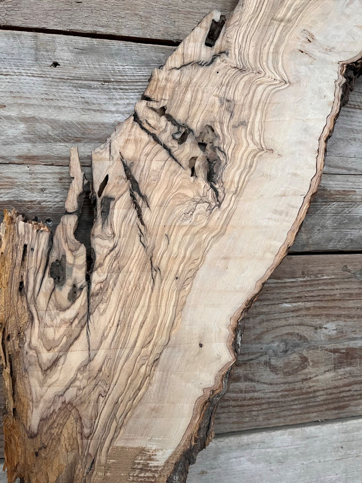 Olive Wood Slab R22 - All About The Olive Wood